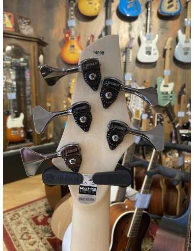 Dingwall Combustion 5-String Maple Whalepool Burst