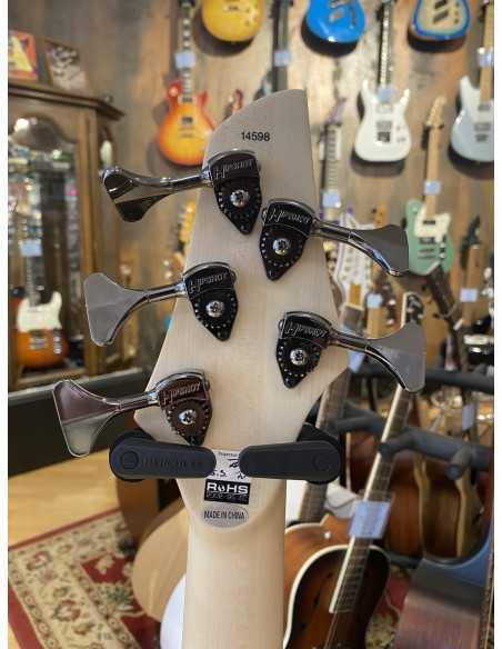 Dingwall Combustion 5-String Maple Whalepool Burst
