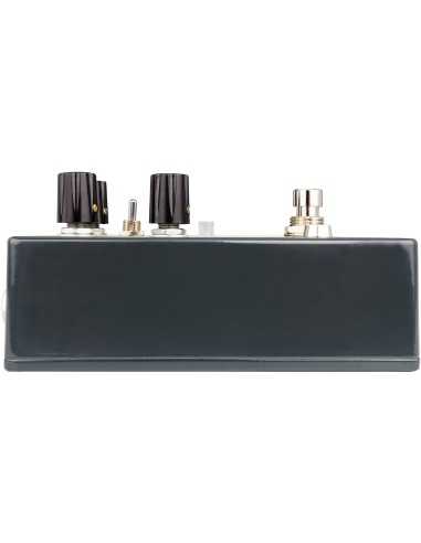 Earthquaker Devices Ledges