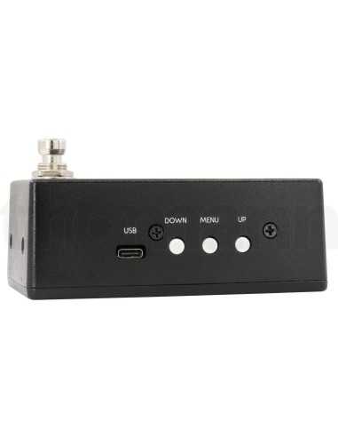 Walrus Audio Canvas Tuner