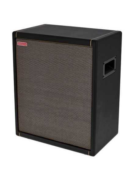 Positive Grid Spark CAB