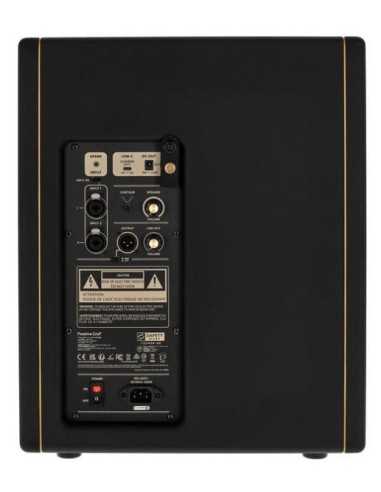 Positive Grid Spark CAB