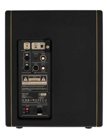 Positive Grid Spark CAB