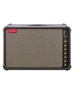 Positive Grid Spark LIVE 2