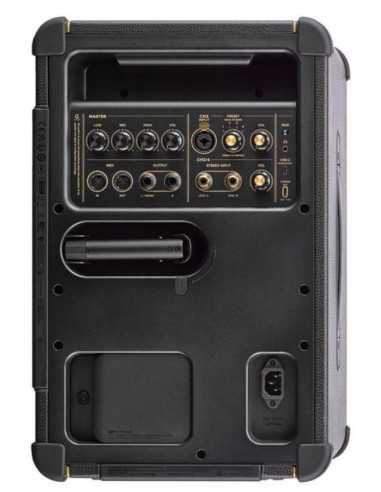 Positive Grid Spark LIVE