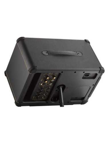 Positive Grid Spark LIVE