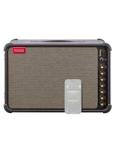 Positive Grid Spark LIVE