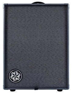 Darkglass Infinity 500 D210D Bass Combo