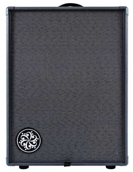 Darkglass Infinity 500 D210D Bass Combo