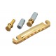 Gotoh GE101Z Gold Stop tailpiece