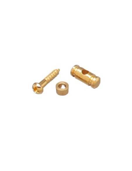 Gotoh RG15/30 Gold String retainer set
