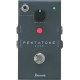 Ibanez Pentatone Noise Gate