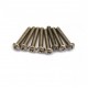 Allparts Steel Single Coil Pickup Screws