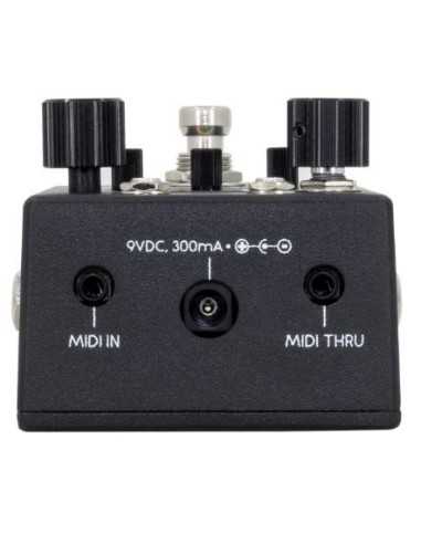 Walrus Audio Canvas Rehearsal