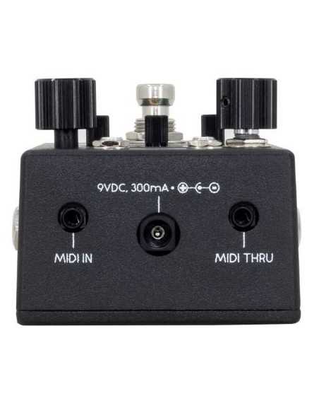 Walrus Audio Canvas Rehearsal