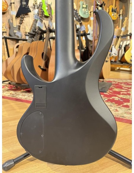 Ibanez BTB625EX-BKF Iron Label