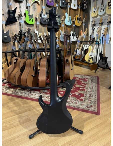 Ibanez BTB625EX-BKF Iron Label