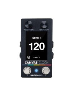 Walrus Audio Canvas Clock