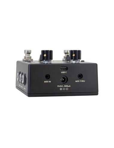 Walrus Audio  Xero Polylooper Black