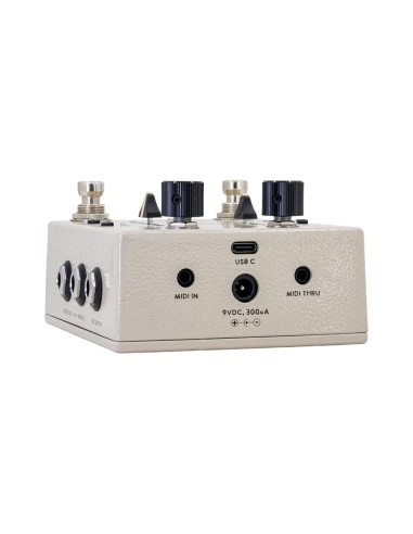 Walrus Audio Xero Polylooper Cream
