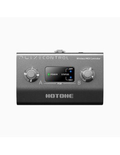 Hotone Pulze Control
