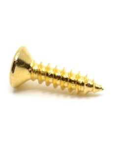 Gotoh TS-01 Pickguard Screw Gold