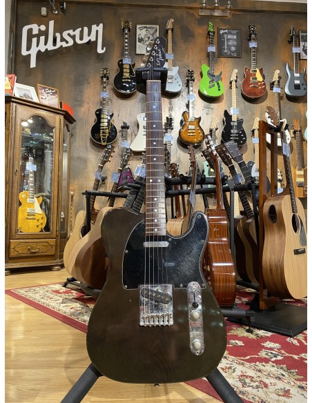 Tokai TTE-60RR Breezy Sound Tele 1982