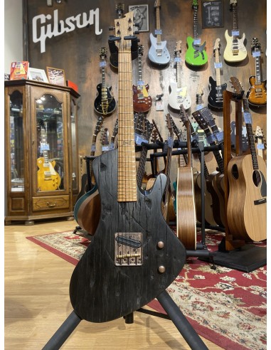 Tüi Instruments Maka