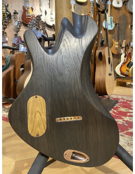 Tüi Instruments Maka