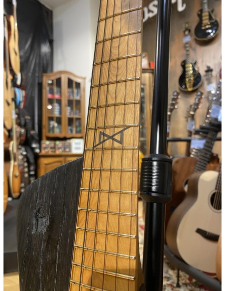 Tüi Instruments Maka