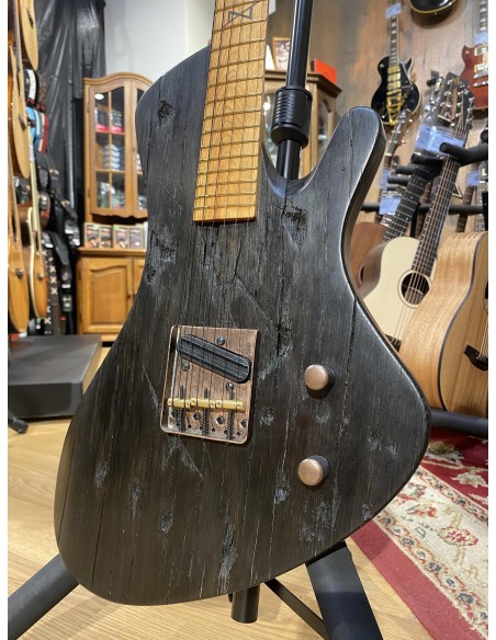 Tüi Instruments Maka