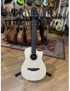 Furch Pioneer ER w/ LR Baggs Element VTC