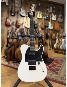 Fender Jim Root Telecaster Flat White