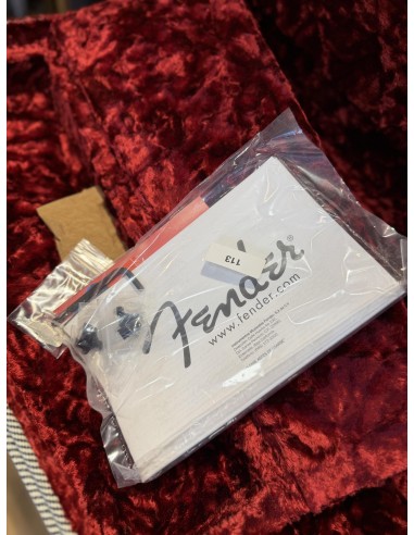 Fender Jim Root Telecaster Flat White