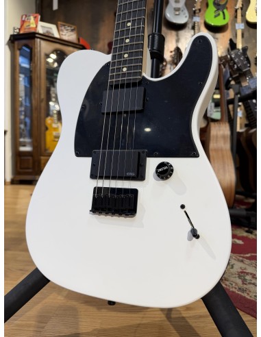 Fender Jim Root Telecaster Flat White
