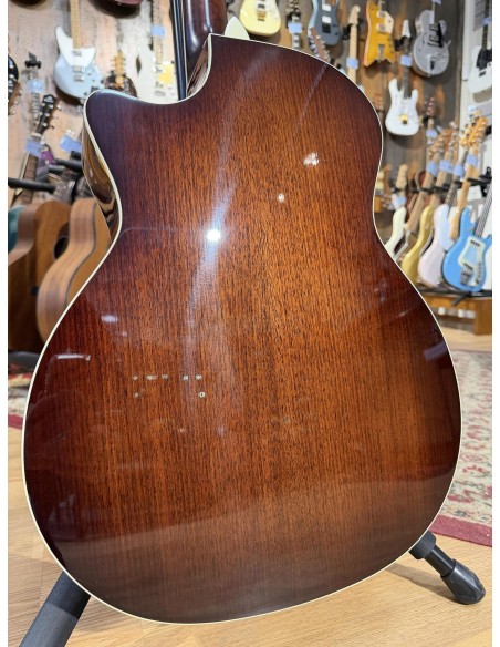 Taylor 514ce Fall Limited 2014