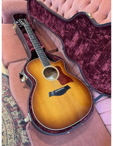 Taylor 514ce Fall Limited 2014