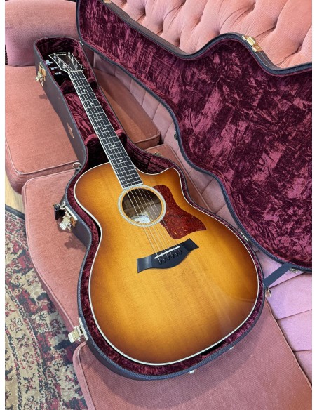 Taylor 514ce Fall Limited 2014