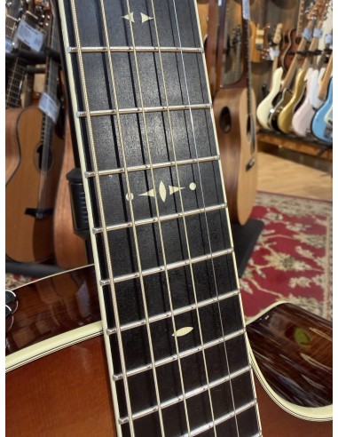 Taylor 514ce Fall Limited 2014