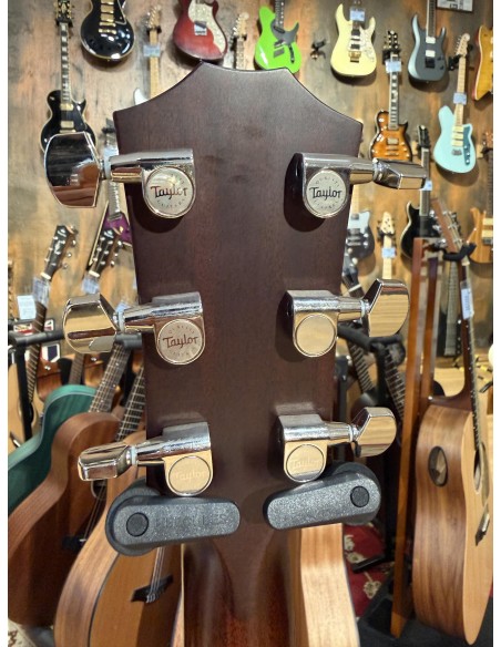 Taylor 514ce Fall Limited 2014