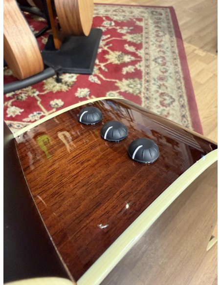 Taylor 514ce Fall Limited 2014