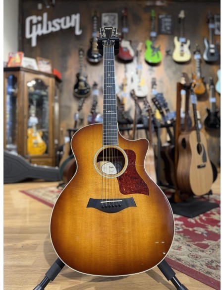 Taylor 514ce Fall Limited 2014