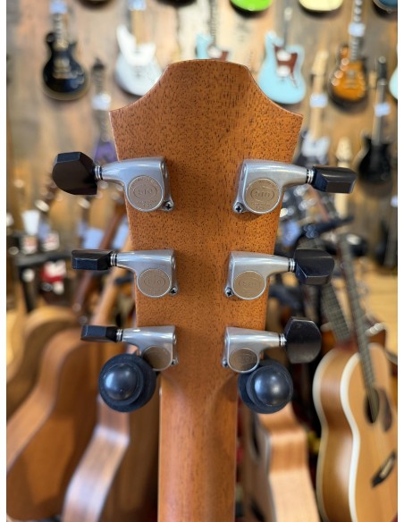 Furch Yellow Deluxe D-SR w/LR Baggs Stagepro Anthem