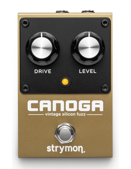 Strymon Canoga