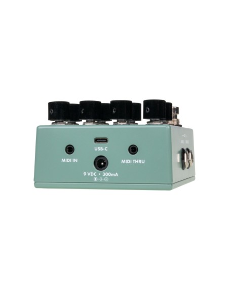 Walrus Audio Lore Reverse Soundscape Generator