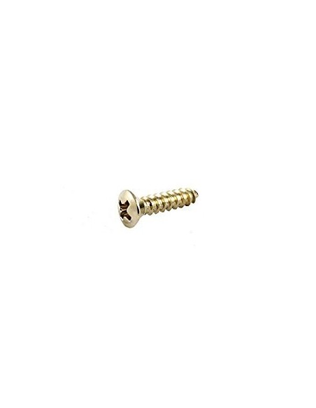 Allparts Nickel Pickguard Screw