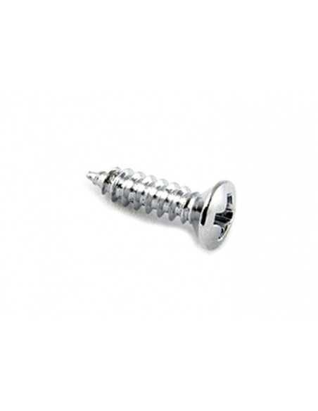 Allparts Chrome Pickguard Screw
