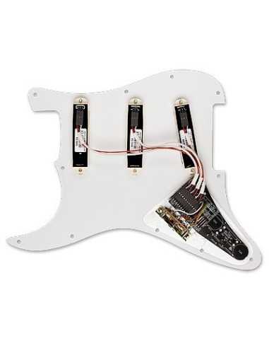 EMG DG20 Dave Gilmour Prewired Set
