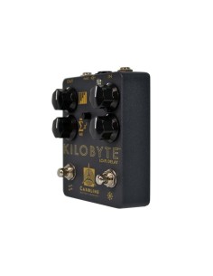 Caroline Kilobyte Delay 2