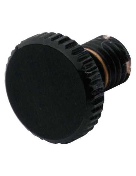 Floyd Rose Fine Tuning Screws